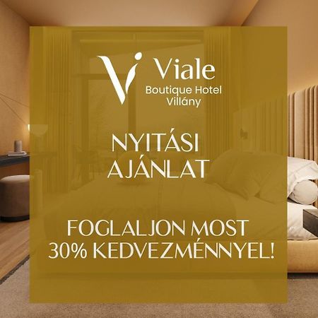 Viale Boutique Hotel Villány Εξωτερικό φωτογραφία